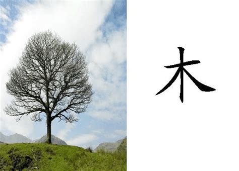 五個木是什麼字